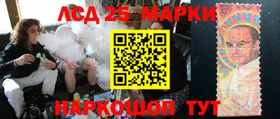 шишки Аргун