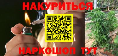 шишки Аргун