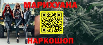 шишки Аргун