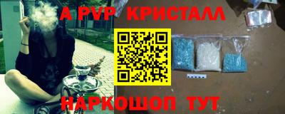 шишки Аргун