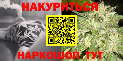 шишки Аргун