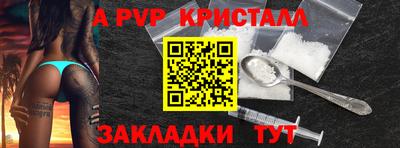 шишки Аргун